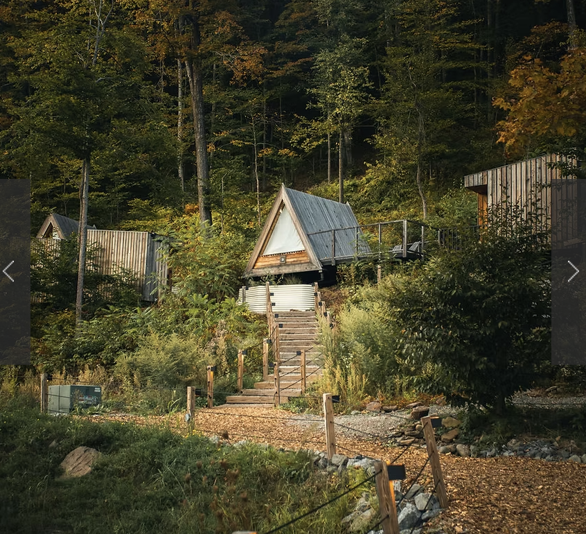 Cabin at Eastwind Oliverea Valley surrounded by forest.